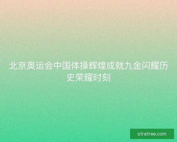 北京奥运会中国体操辉煌成就九金闪耀历史荣耀时刻
