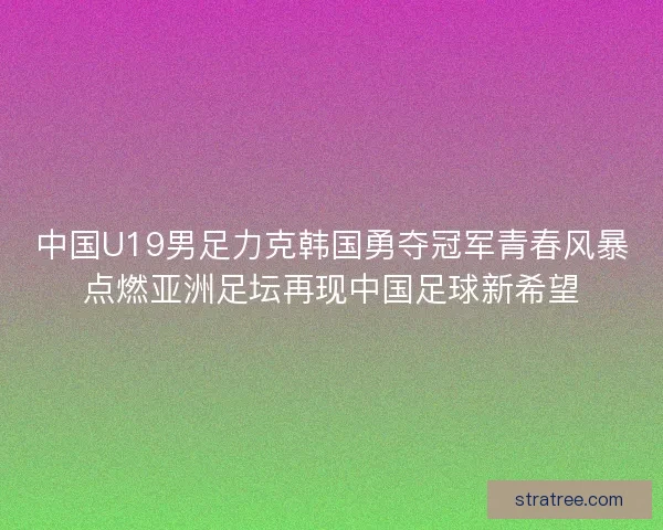 中国U19男足力克韩国勇夺冠军青春风暴点燃亚洲足坛再现中国足球新希望