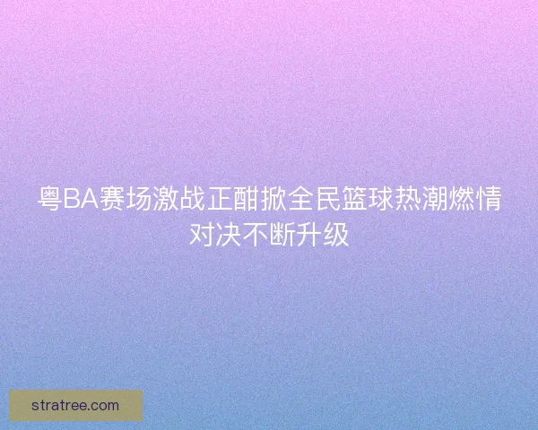 粤BA赛场激战正酣掀全民篮球热潮燃情对决不断升级