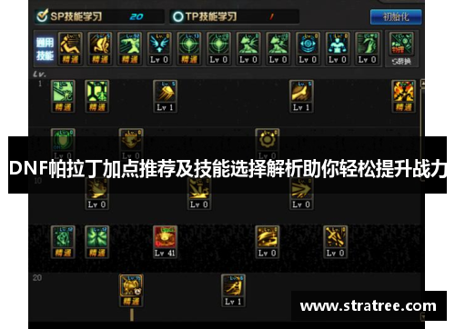 DNF帕拉丁加点推荐及技能选择解析助你轻松提升战力