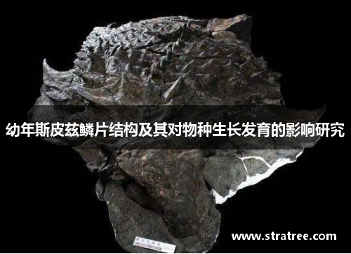 幼年斯皮兹鳞片结构及其对物种生长发育的影响研究