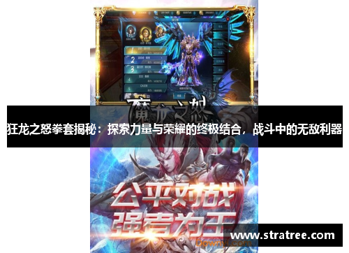 狂龙之怒拳套揭秘：探索力量与荣耀的终极结合，战斗中的无敌利器