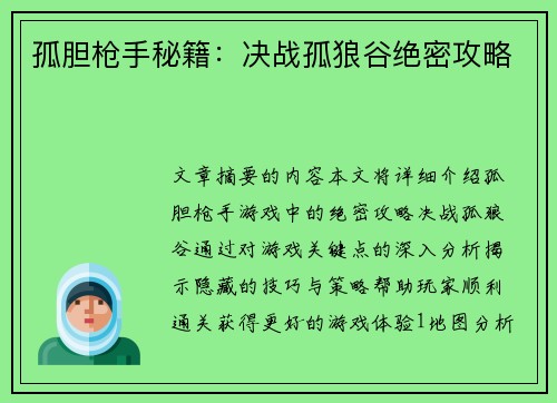 孤胆枪手秘籍：决战孤狼谷绝密攻略